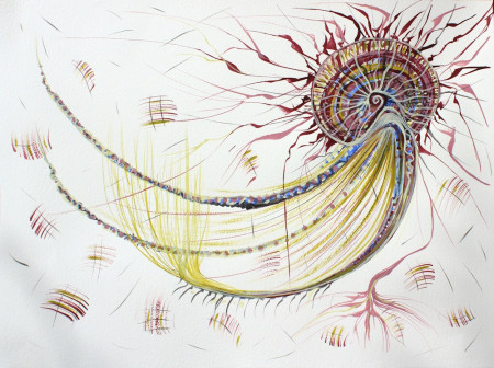 Il respiro della lumaca